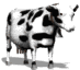 cowlooking2.gif (7840 bytes)